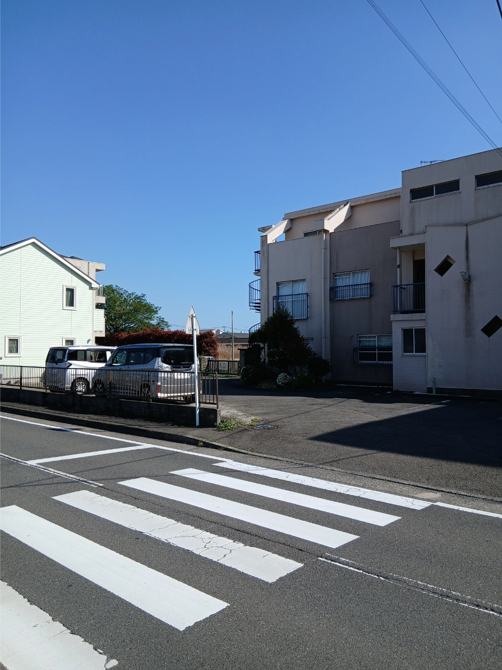 教育センター付近の横断歩道の写真