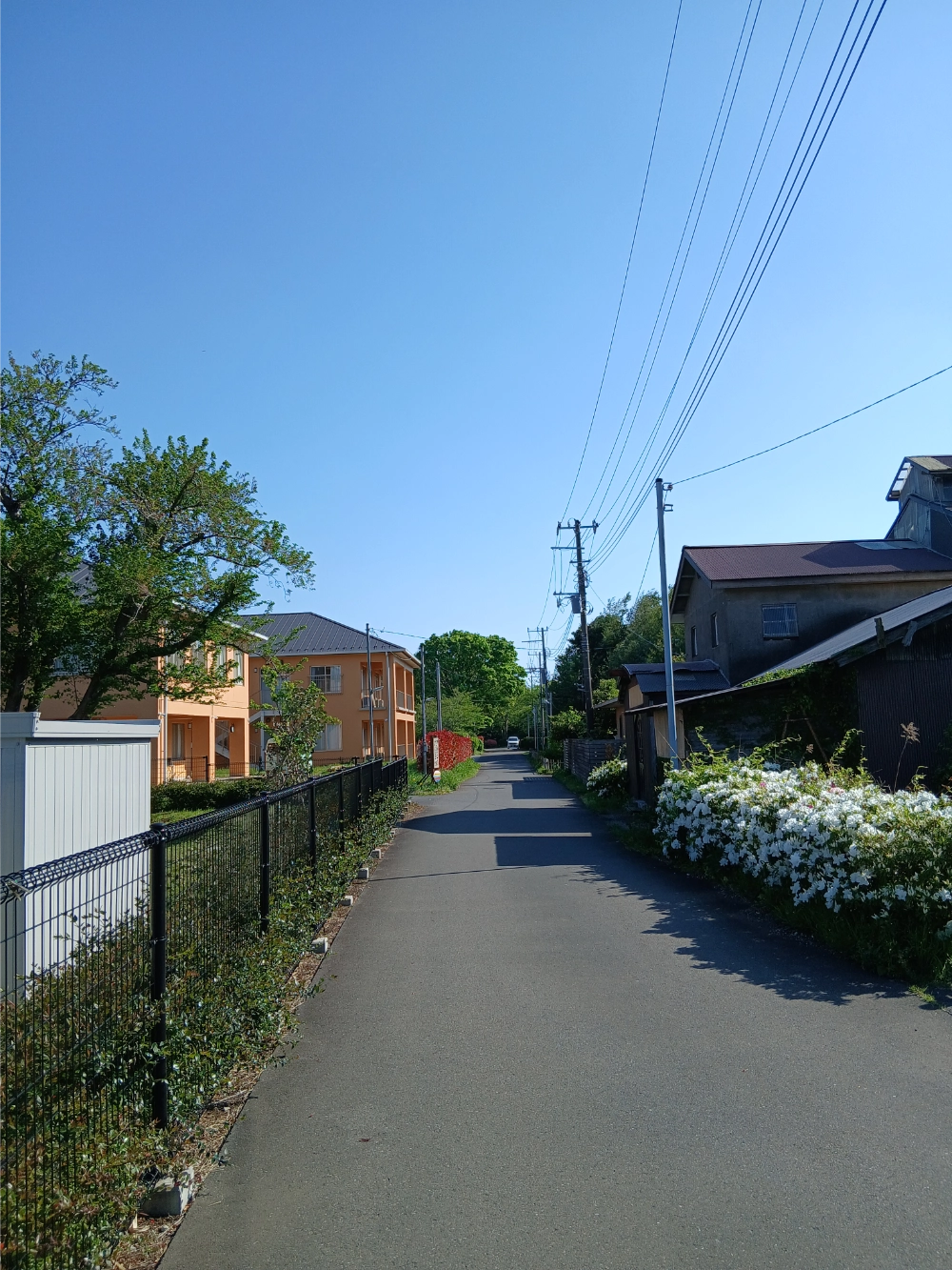 門から直進する道とオレンジ色の建物の写真